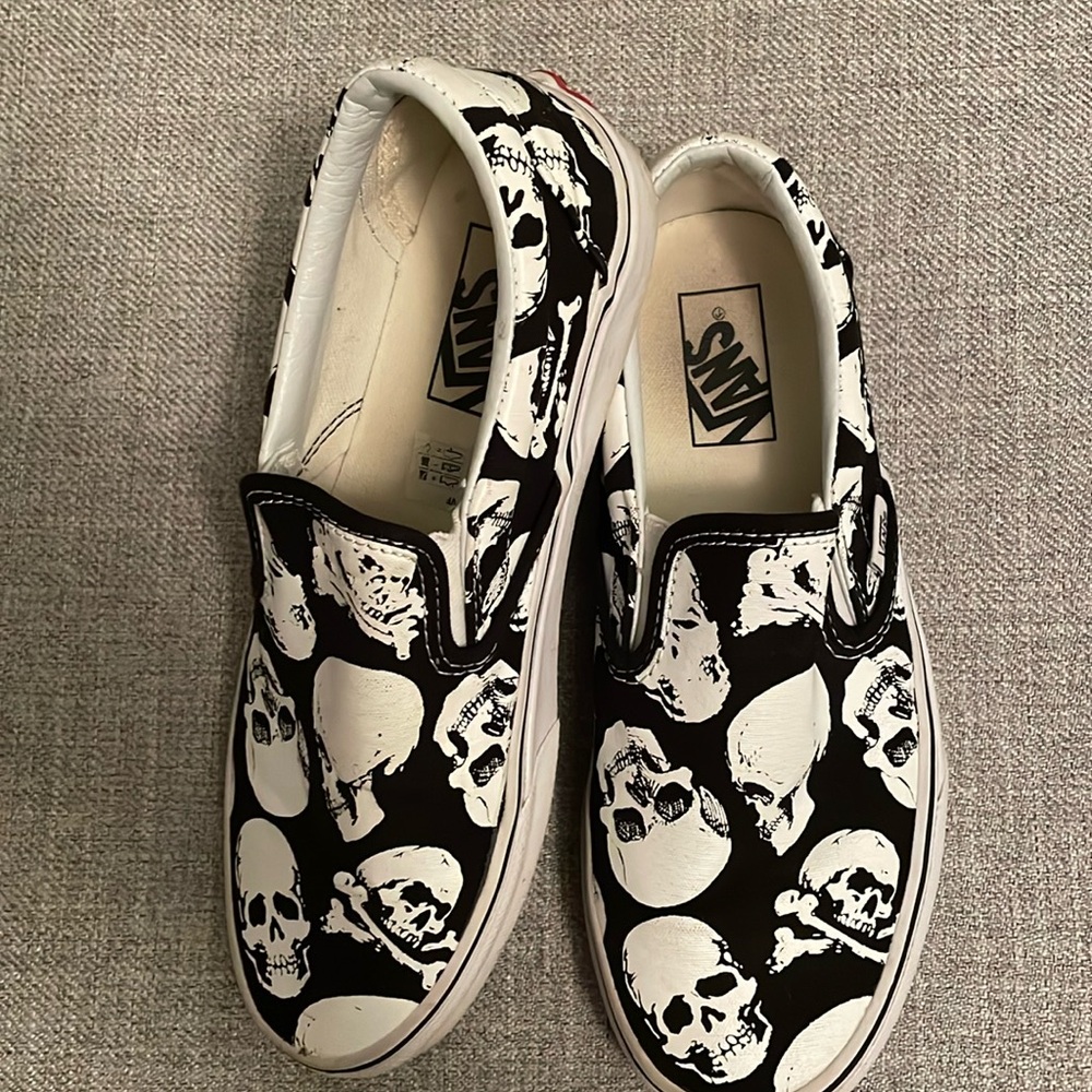 Vans Skull Slip on shoes